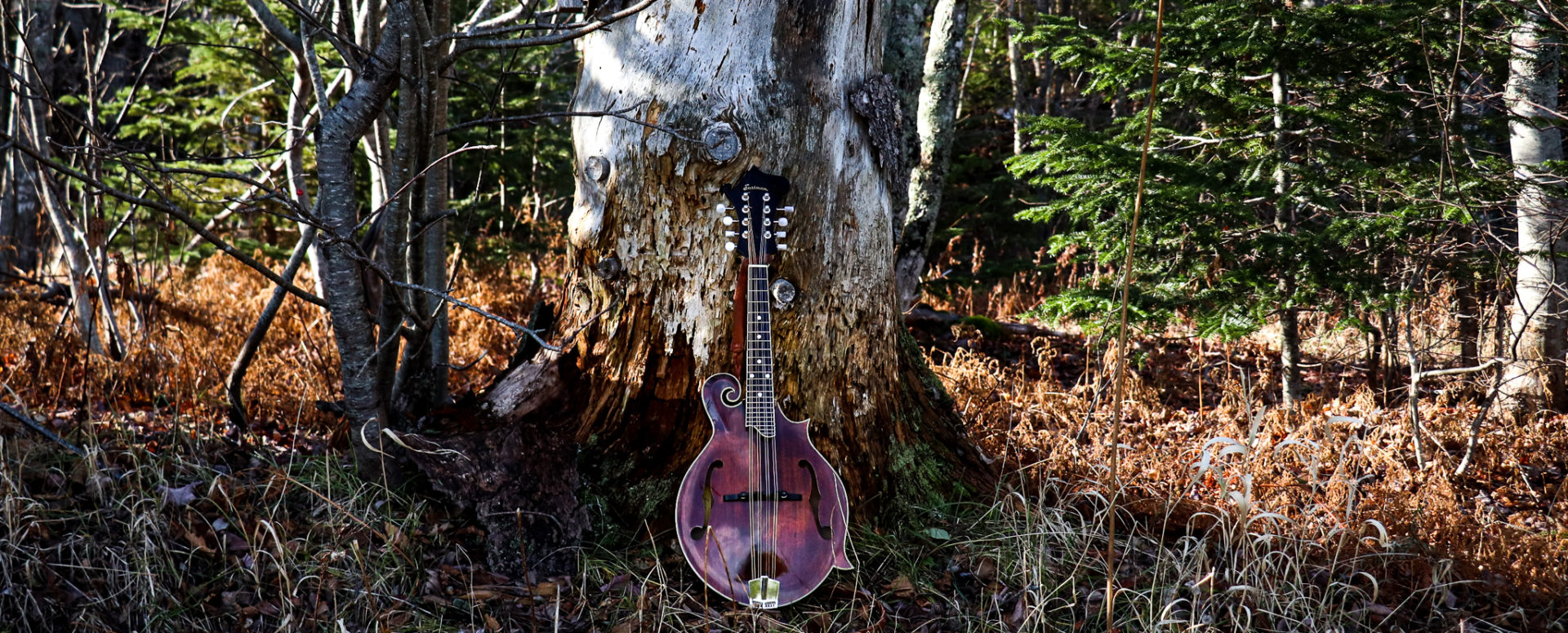 Island Mandolin Lessons